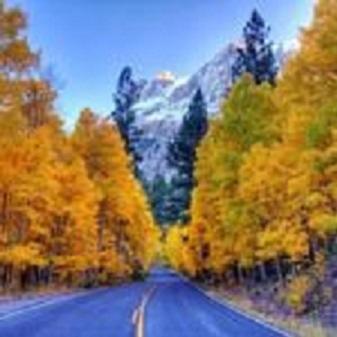 Birch Creek #1 - 1Br/1Ba - Down Canyon June Lake Esterno foto